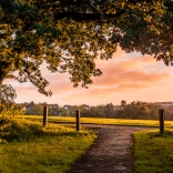 Tree arching over in the foreground with view across the green parkland of Cyfarthfa Park, Merthyr Tydfil.